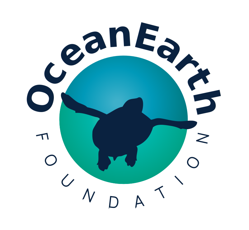 OceanEarth Foundation logo