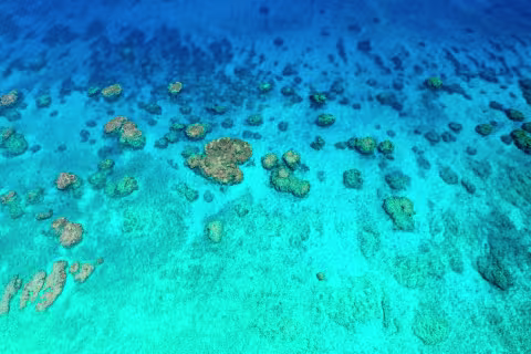 Recifs de l'Astrolabe — Coral Sea Natural Park, New Caledonia