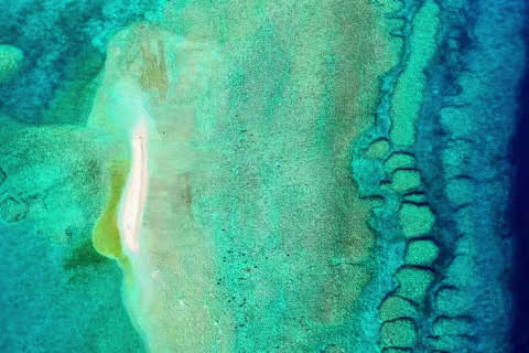 Recifs de l'Astrolabe — Coral Sea Natural Park, New Caledonia
