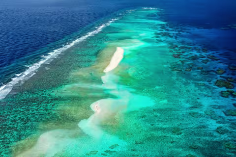 Recifs de l'Astrolabe — Coral Sea Natural Park, New Caledonia
