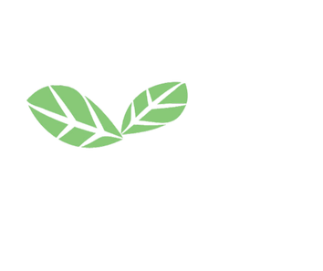 The green leaves